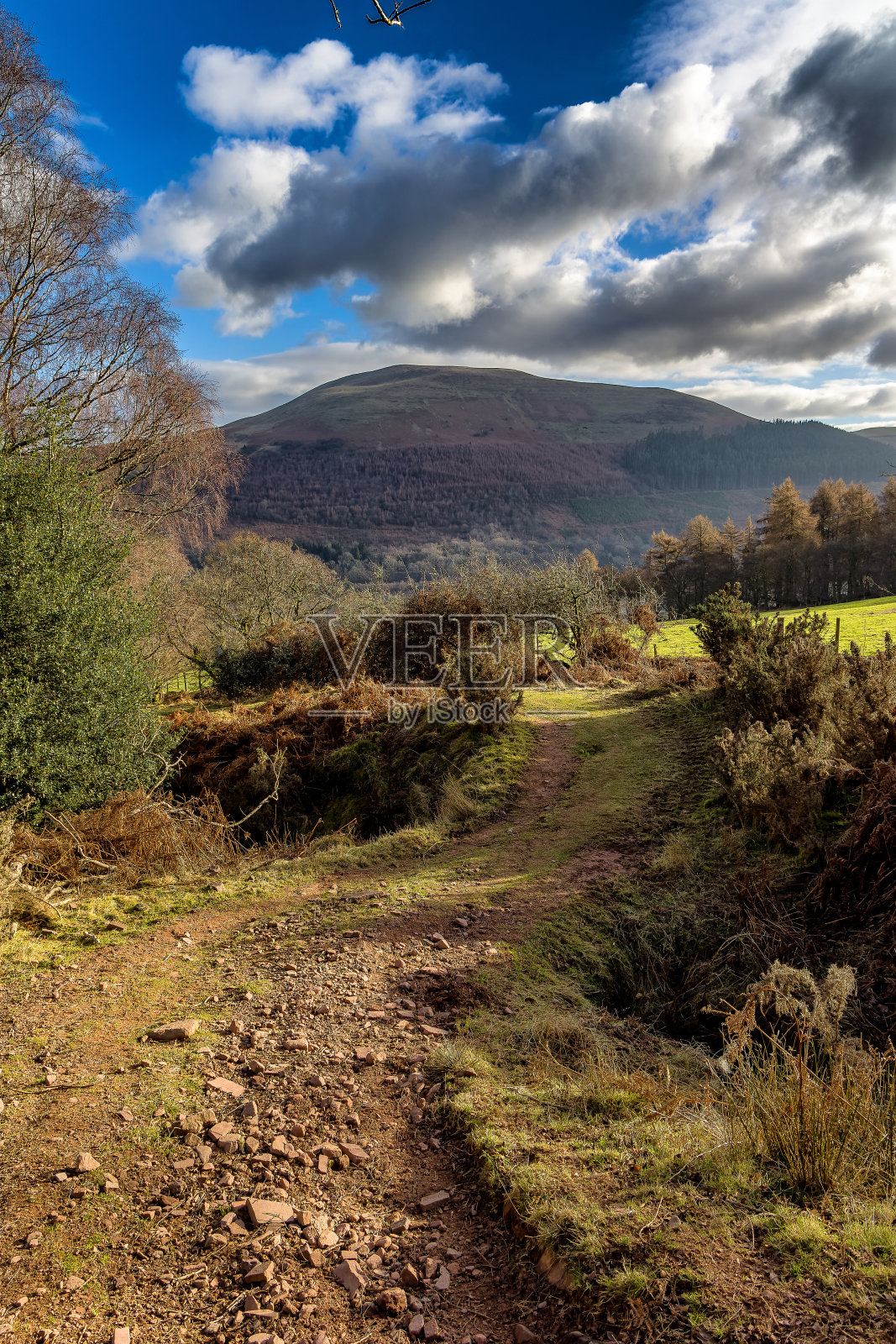 乡村景色和徒步旅行在布雷肯beacon，威尔士照片摄影图片