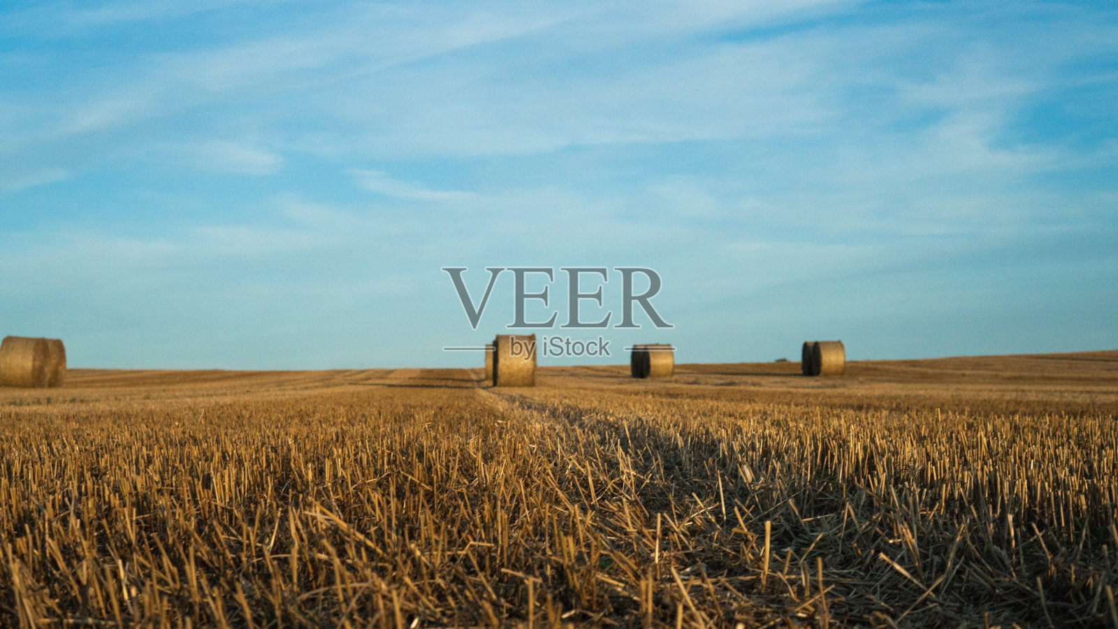 景观-田野上的干草堆。小时,金色的夕阳。照片摄影图片