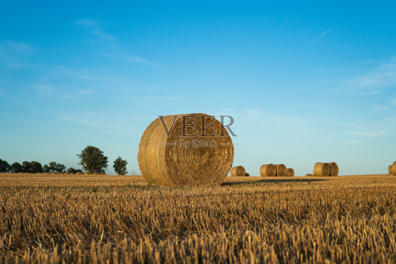 田里的干草捆。小时,金色的夕阳。照片摄影图片