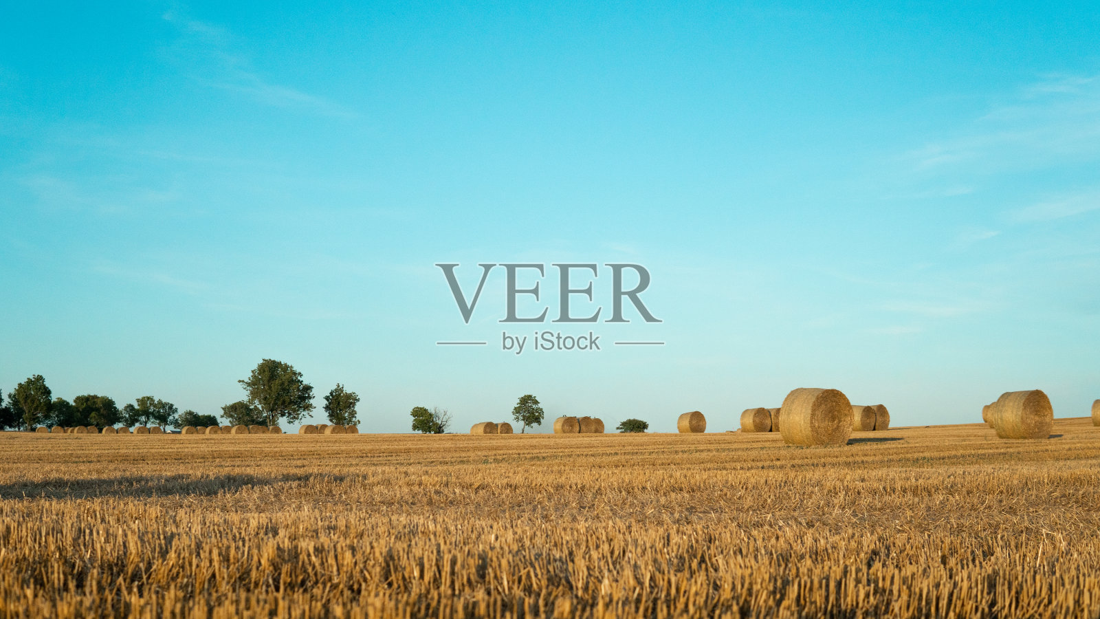 景观-田野上的干草堆。小时,金色的夕阳。照片摄影图片