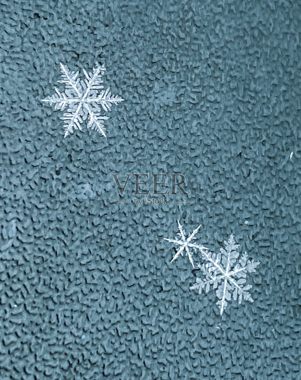 雪花关闭照片摄影图片