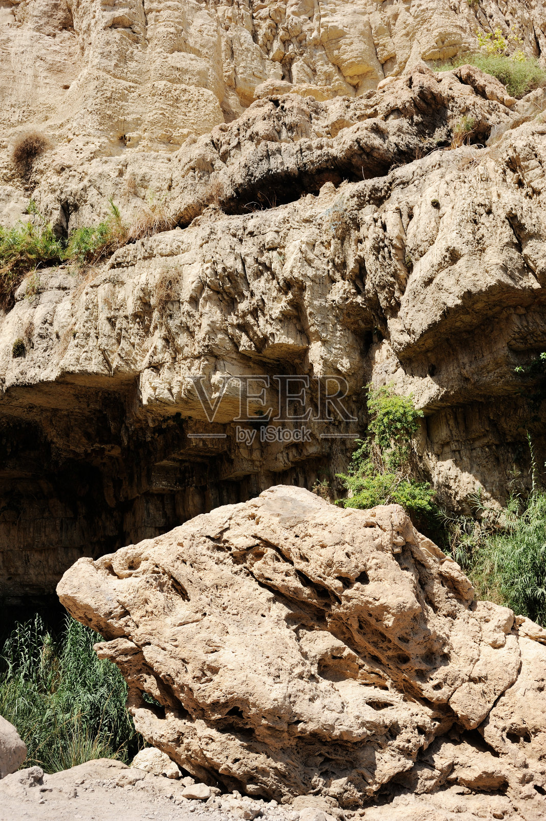 死海山照片摄影图片