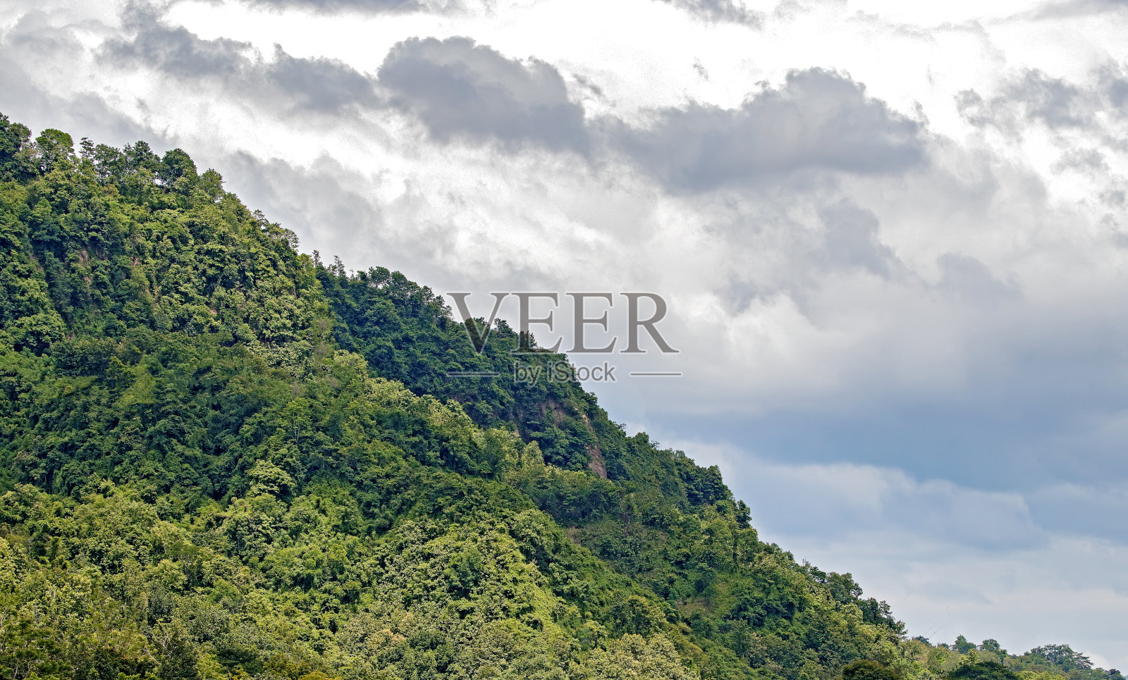 美丽的大自然。孟加拉吉大港,Kaptai。照片摄影图片