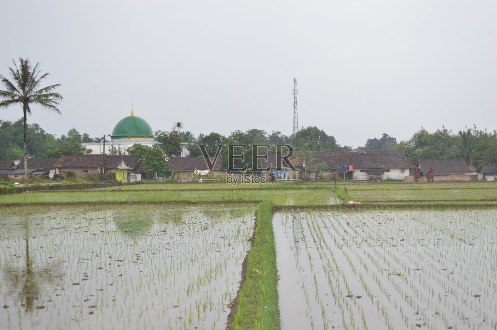 乡村景色照片摄影图片