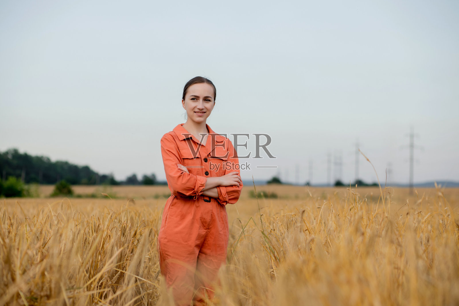 肖像农学家农民与数字平板电脑在麦田。照片摄影图片