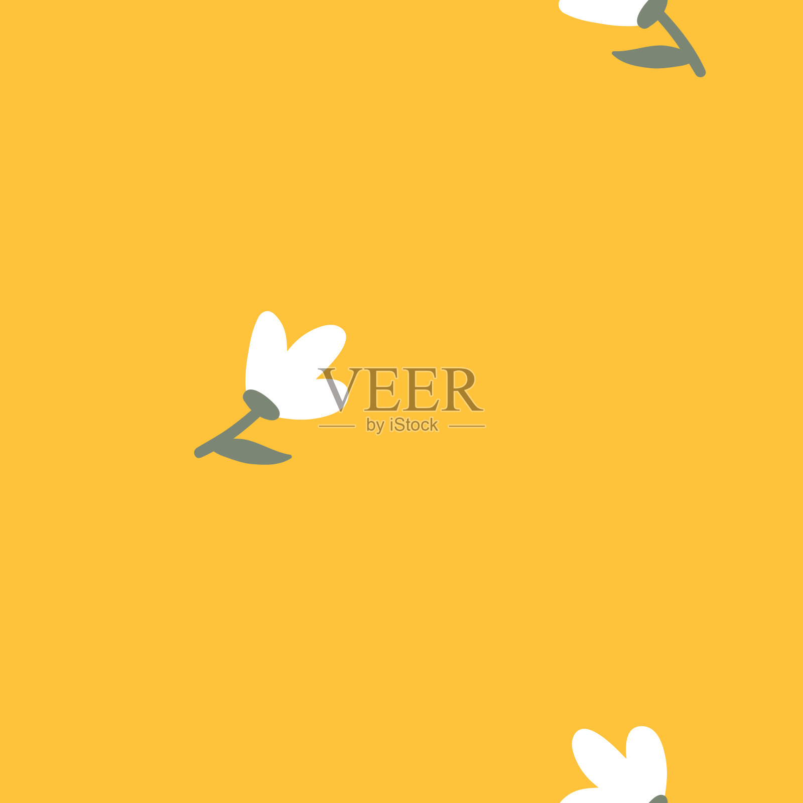 无缝图案与白色盛开的花朵在黄色的背景。花卉矢量纹理。插画图片素材