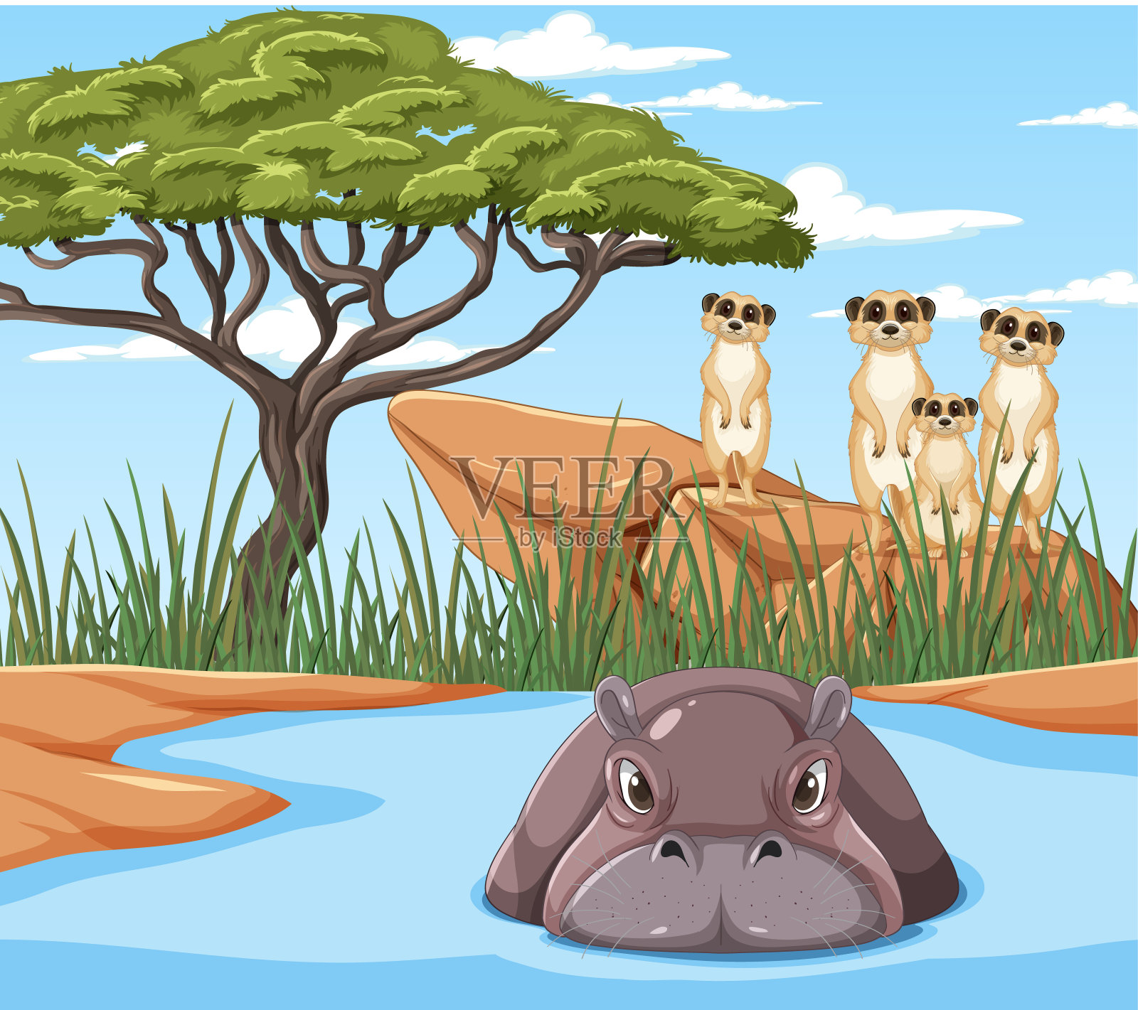 草原森林里的猫鼬和河马插画图片素材
