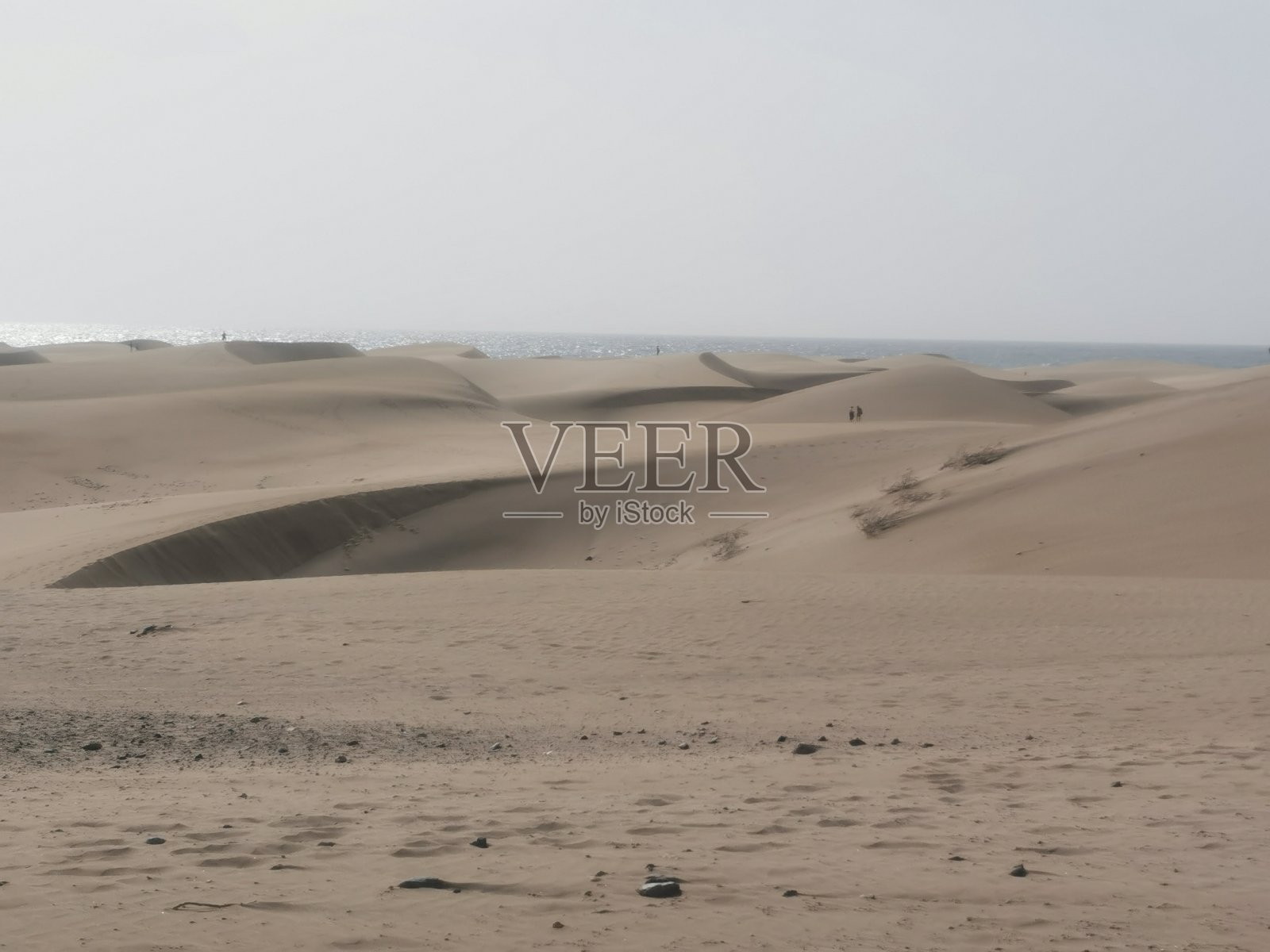 沙丘和calima照片摄影图片