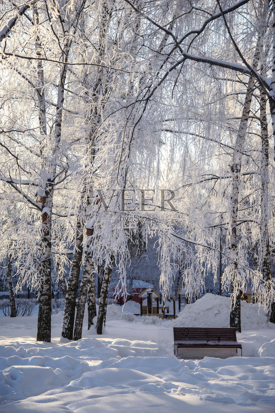冬天阳光明媚的一天，树木被雪覆盖照片摄影图片