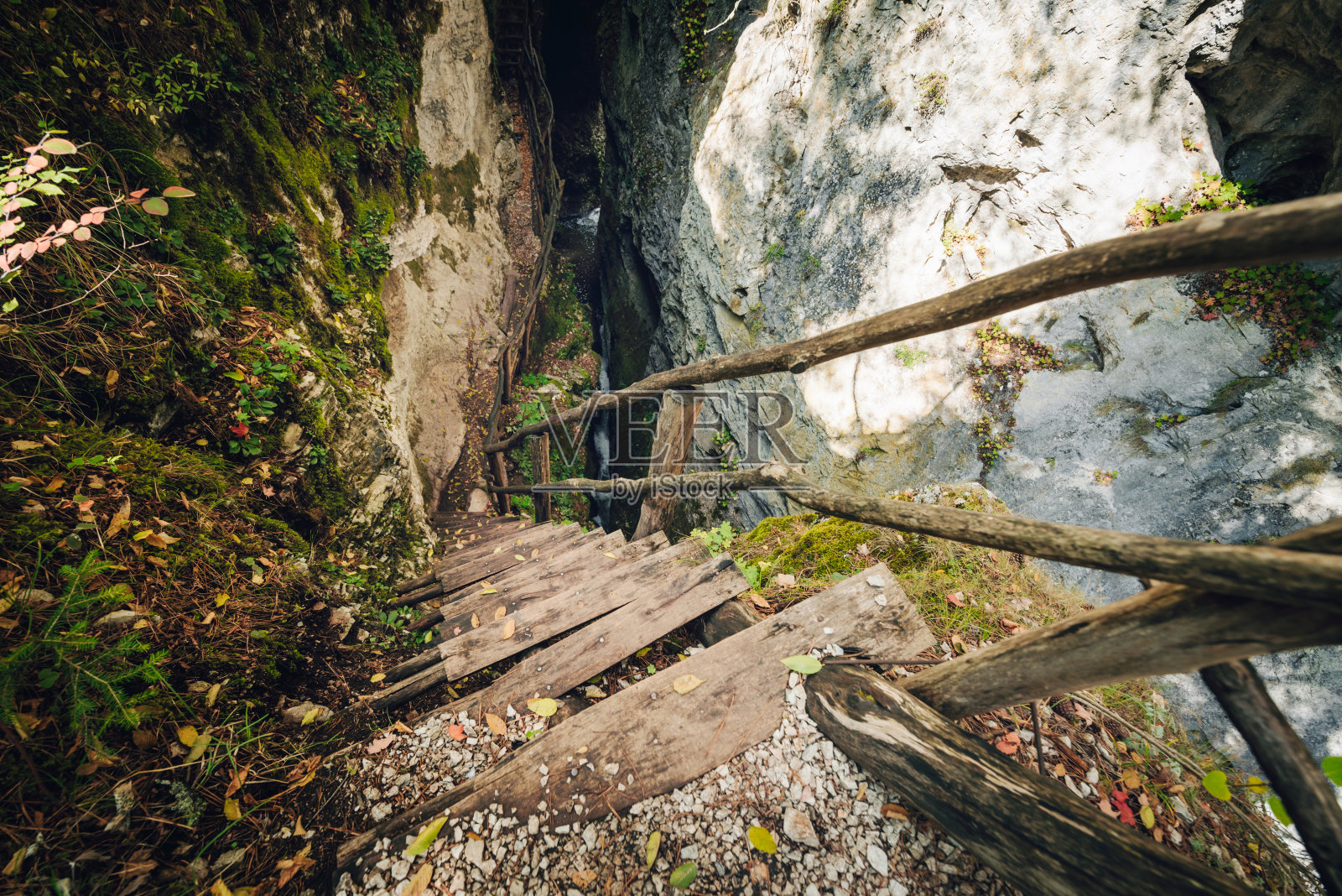 冒险的探索!照片摄影图片