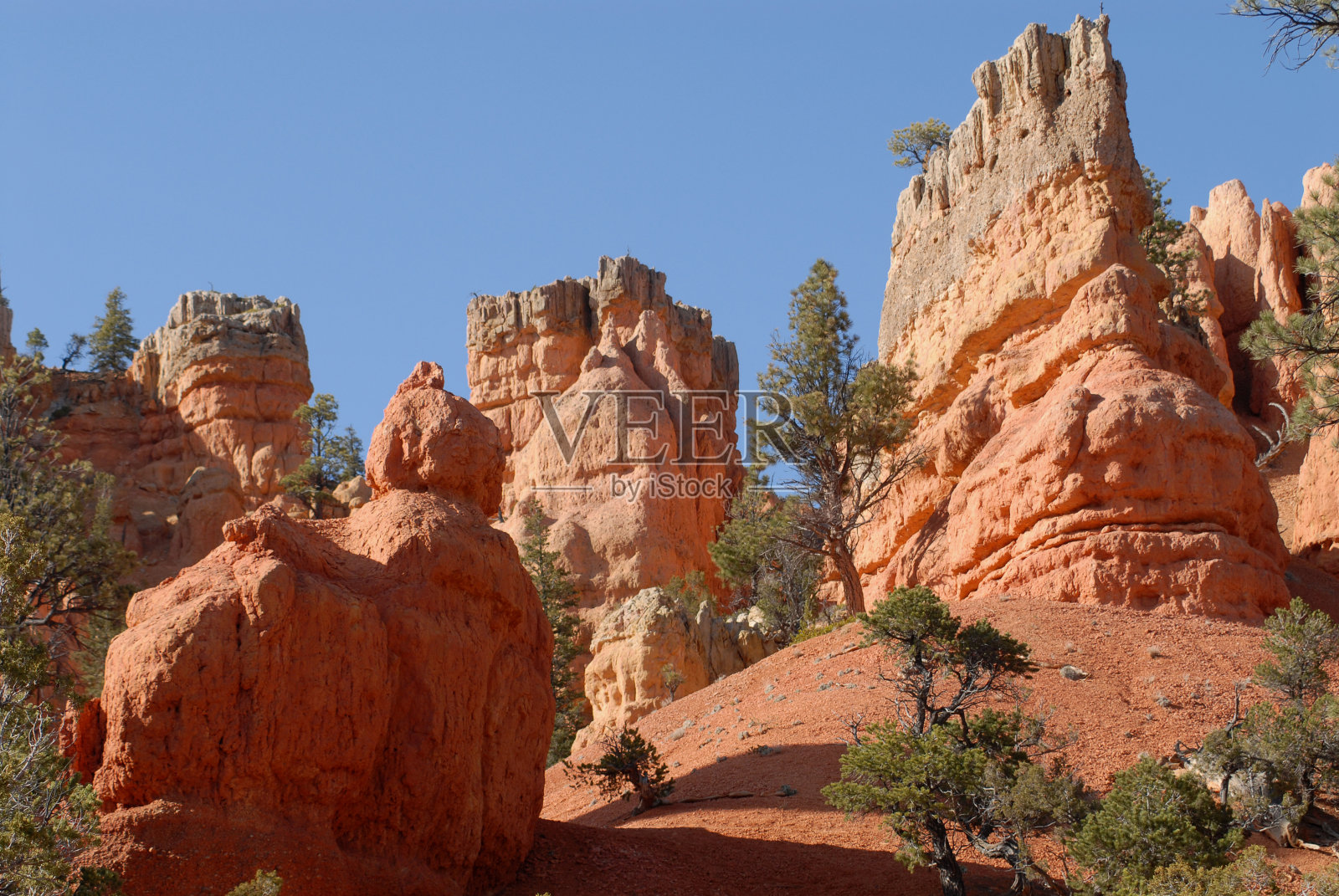 犹他州-红色岩石峡谷-明亮的红色被侵蚀的Hoodoos的特写照片摄影图片