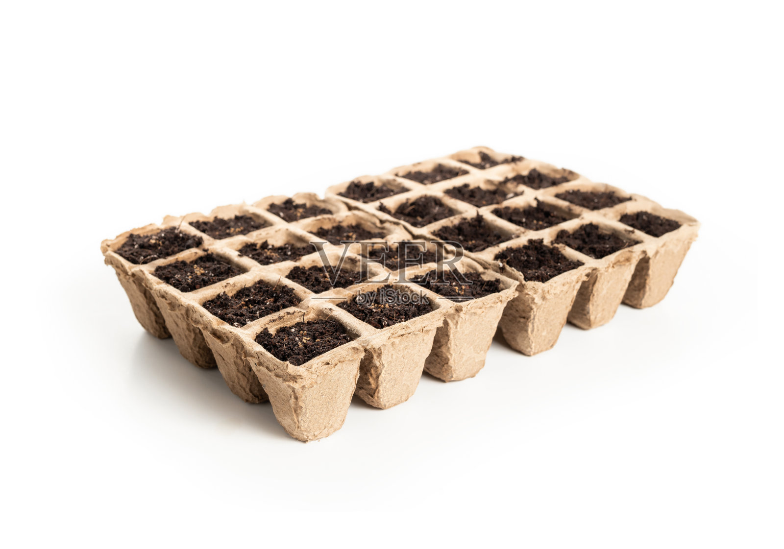 种子启动盆托盘与芹菜种子在盆栽土壤。照片摄影图片