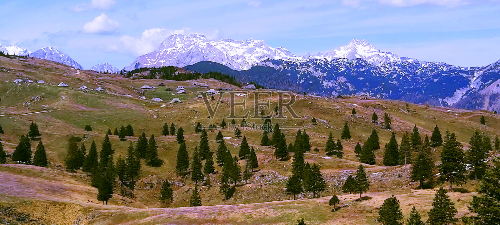 盛开的山照片摄影图片