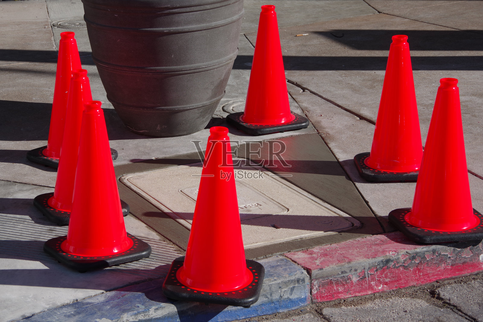 红锥照片摄影图片