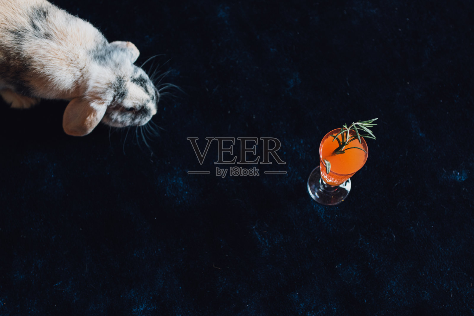 黑地毯上的小兔子配上橘色鸡尾酒照片摄影图片