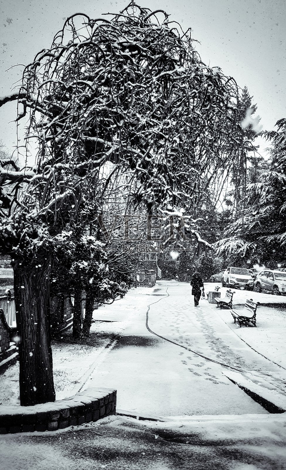 下雪的一天照片摄影图片