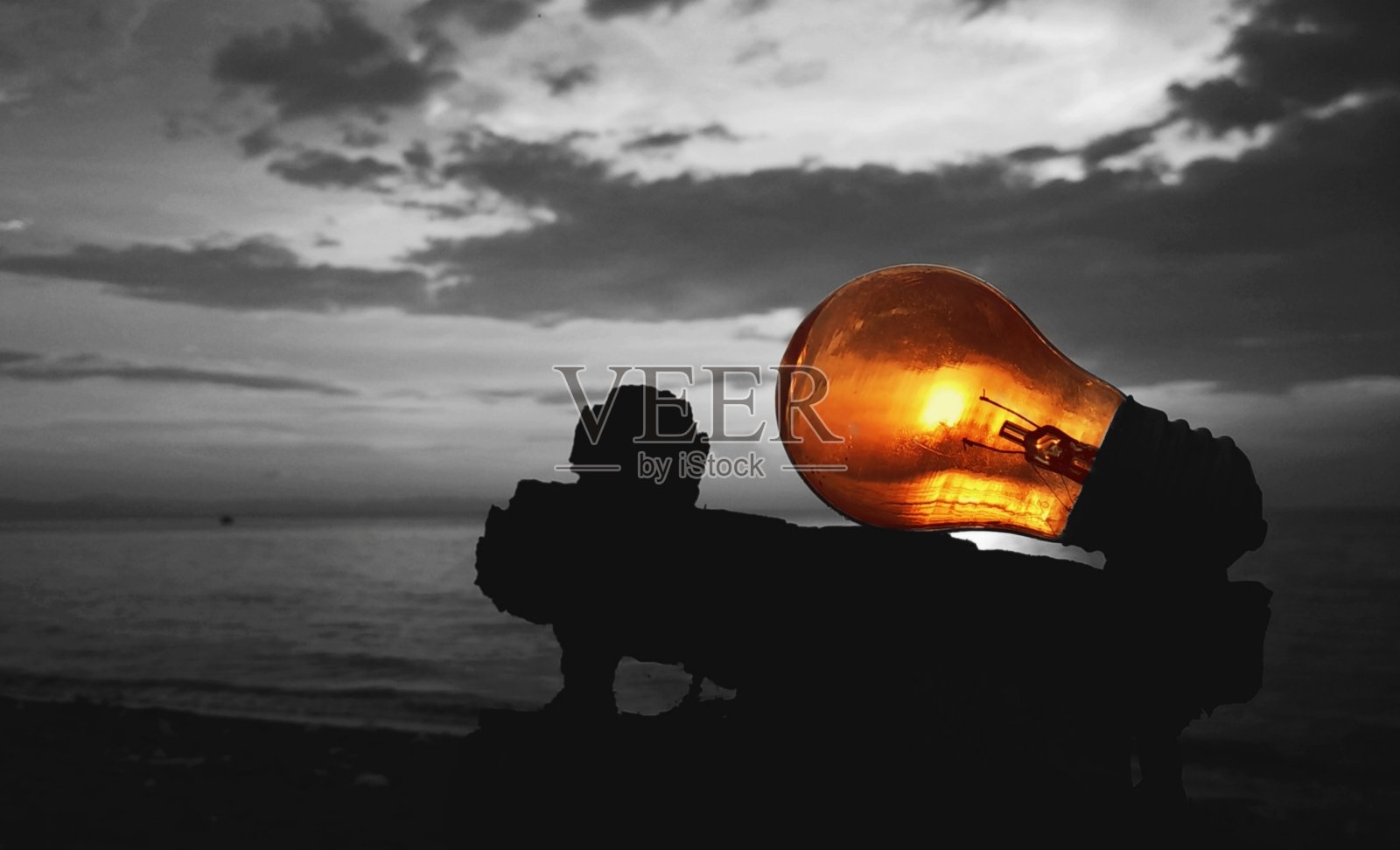 浪费了灯泡照片摄影图片