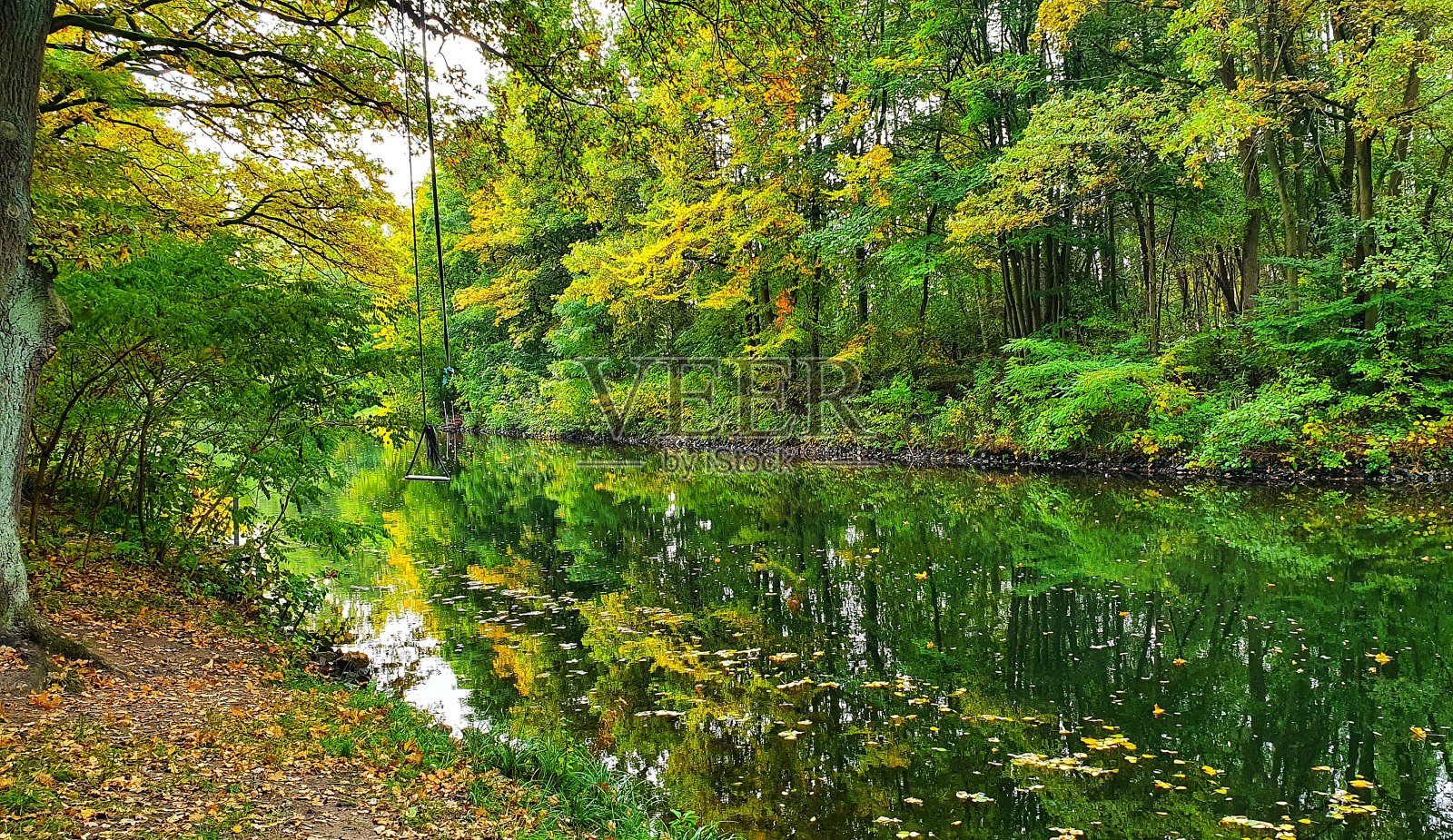梅克伦堡的埃尔德河沿岸有五颜六色的树木照片摄影图片