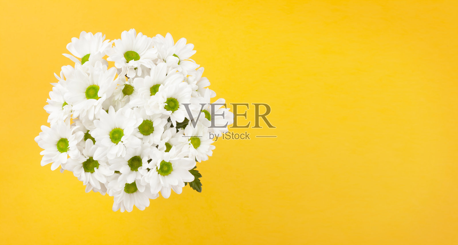 黛西鲜花花束照片摄影图片