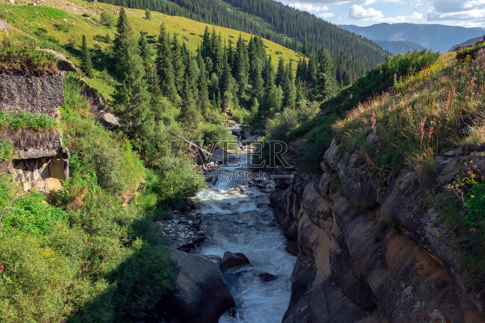 美丽的河流流淌在岩石峡谷的绿色山脉。准噶尔Alatau自然。照片摄影图片