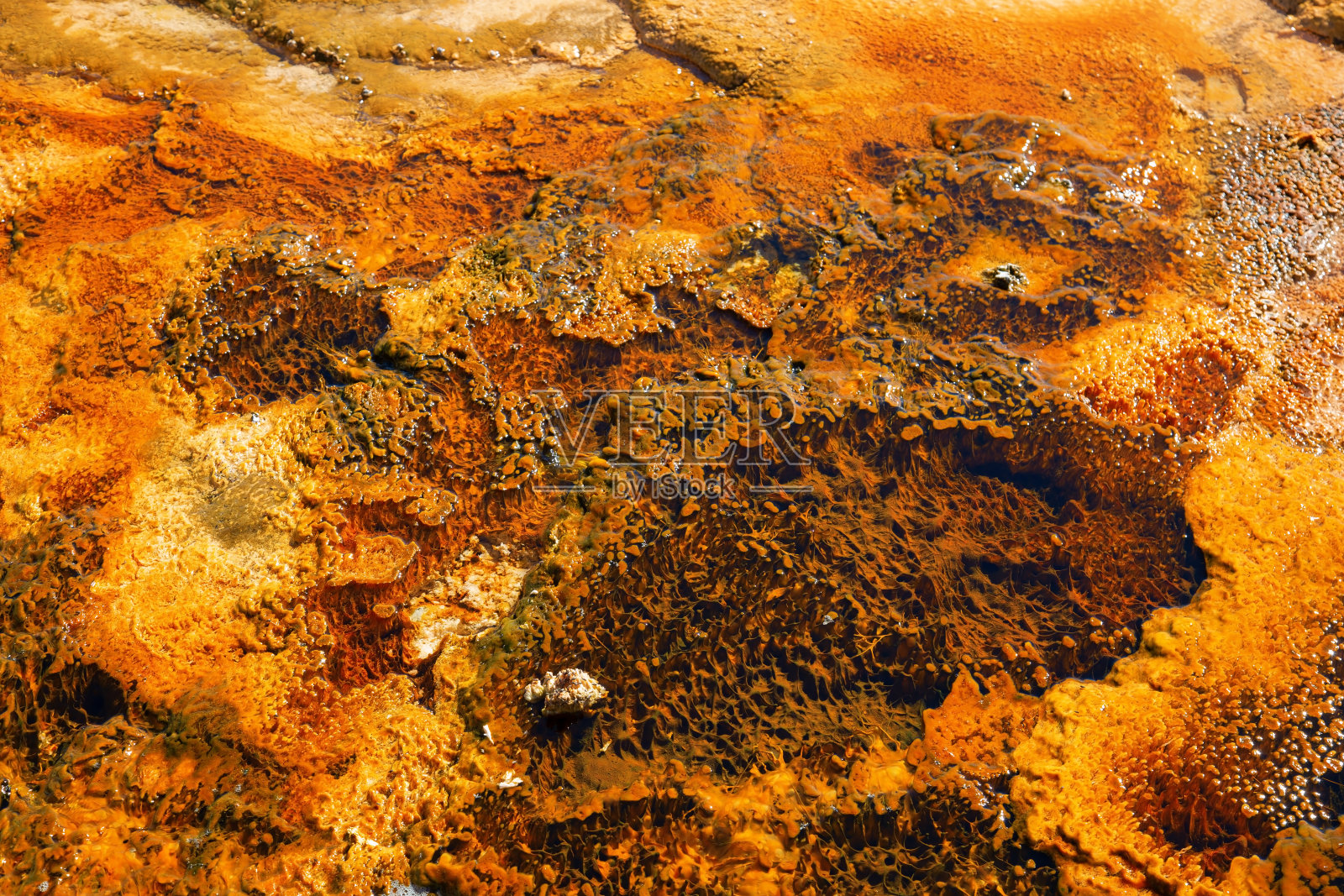 黑砂间歇泉盆地照片摄影图片