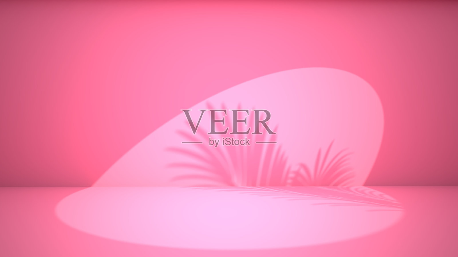 粉红色的空空间和聚光灯与树叶阴影。3 d渲染。照片摄影图片