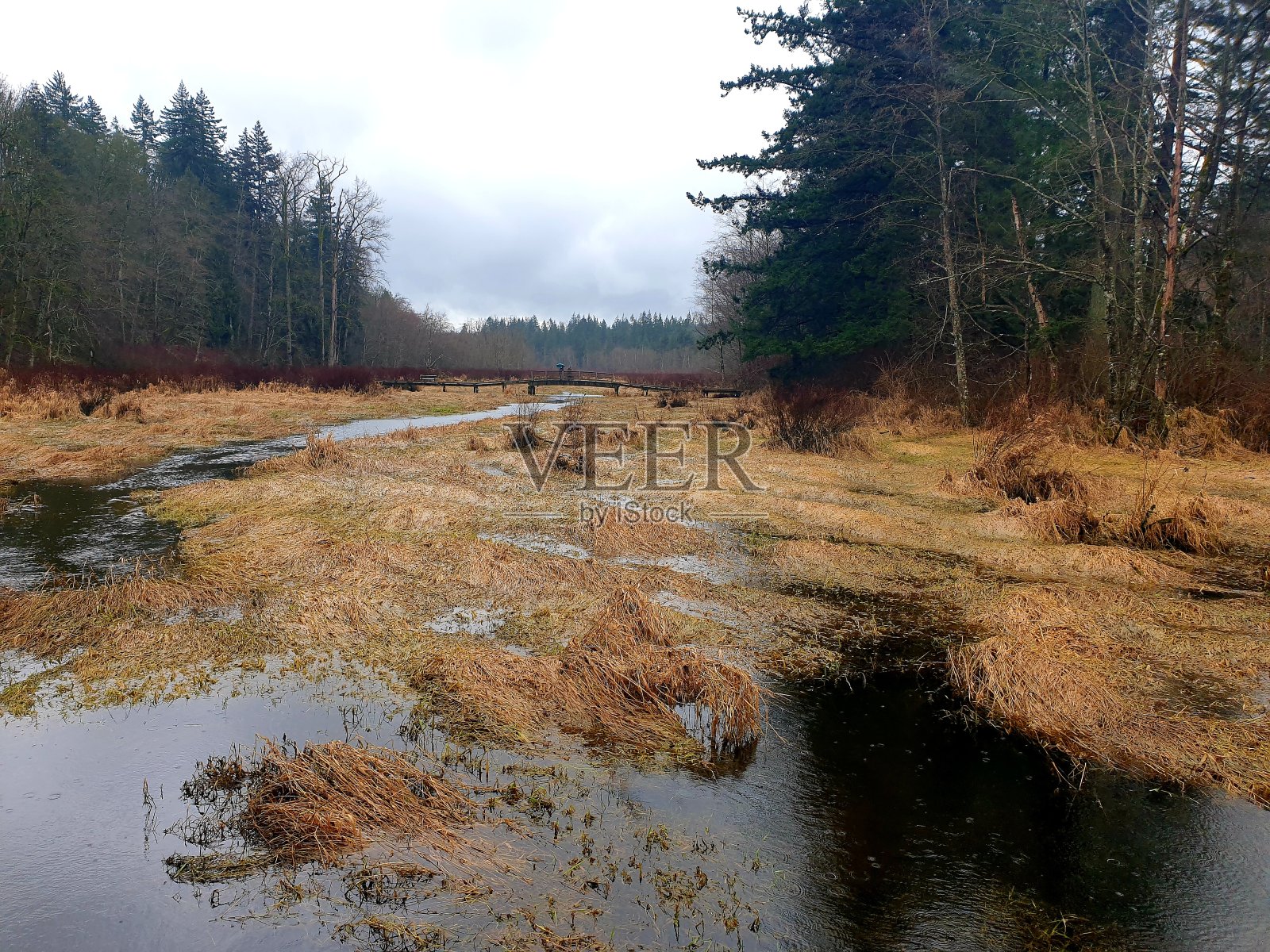 雨天照片摄影图片