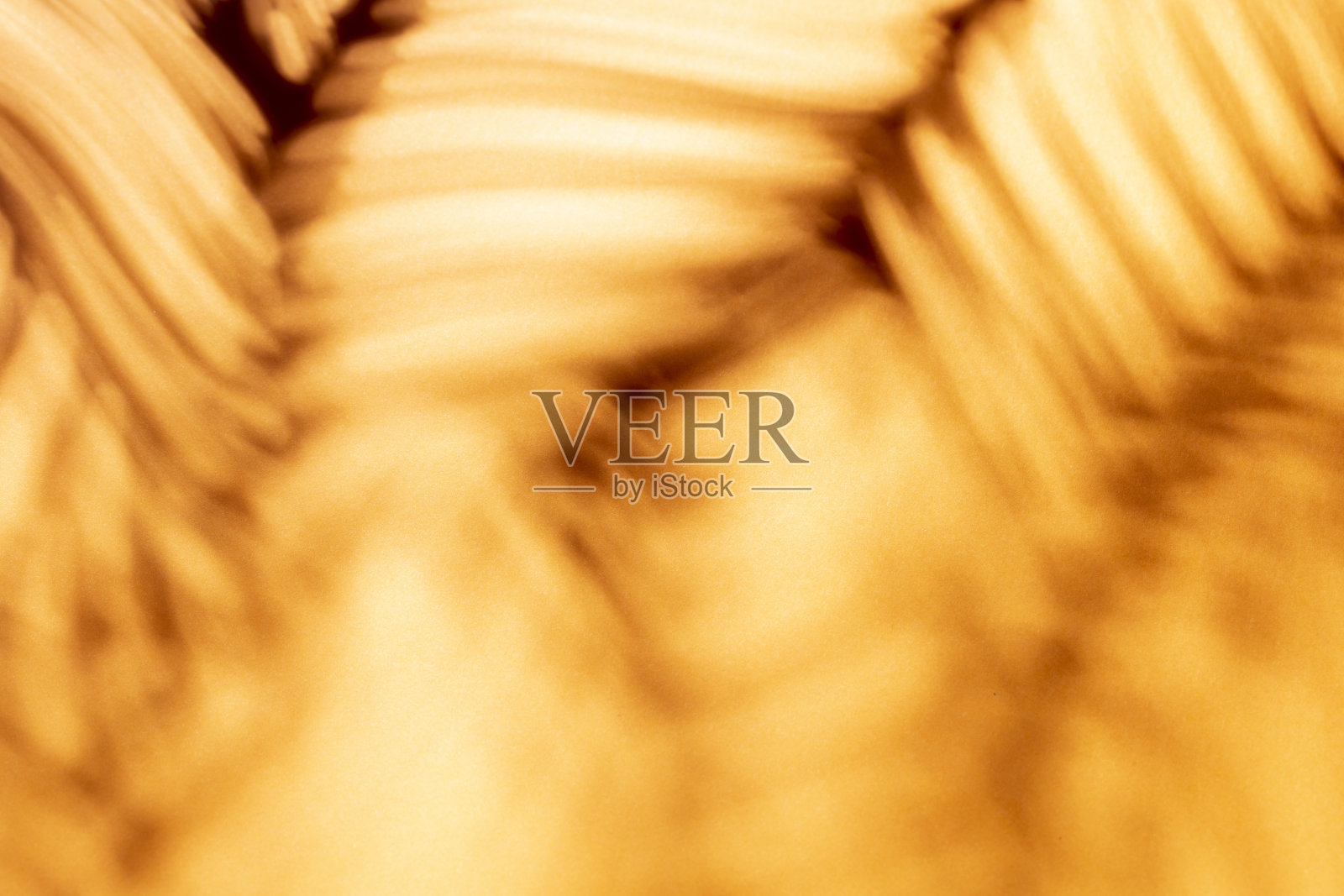 棕榈叶和阴影在彩色墙壁的背景。照片摄影图片