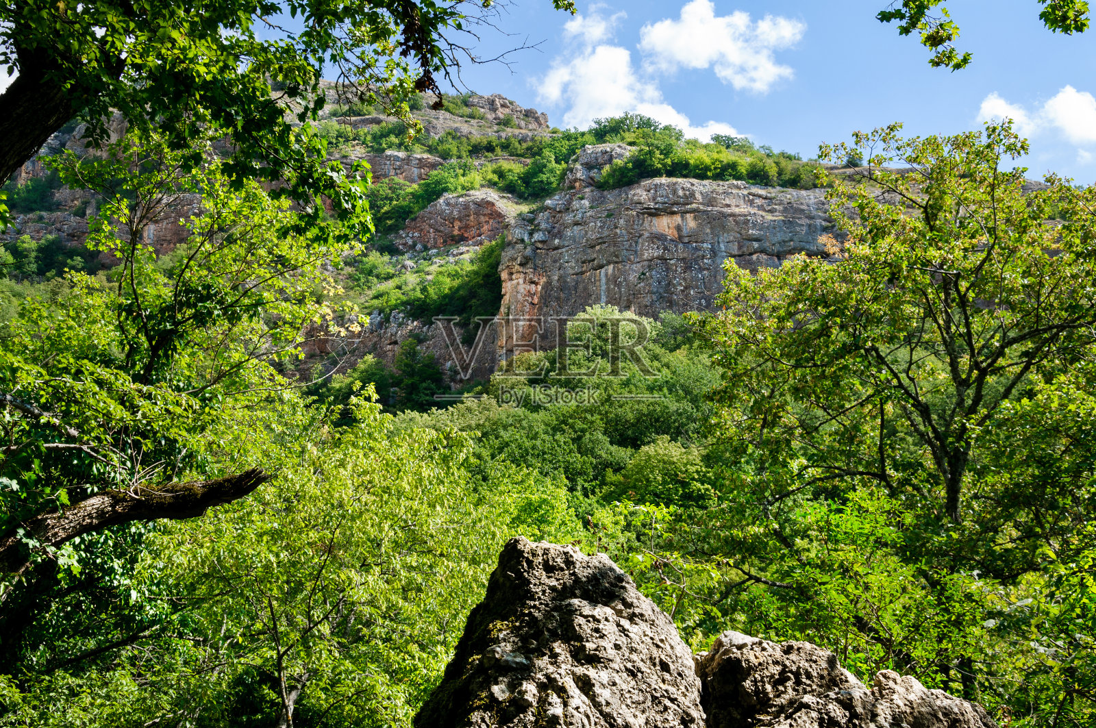 覆盖着绿色灌木和树木的落基山脉。照片摄影图片