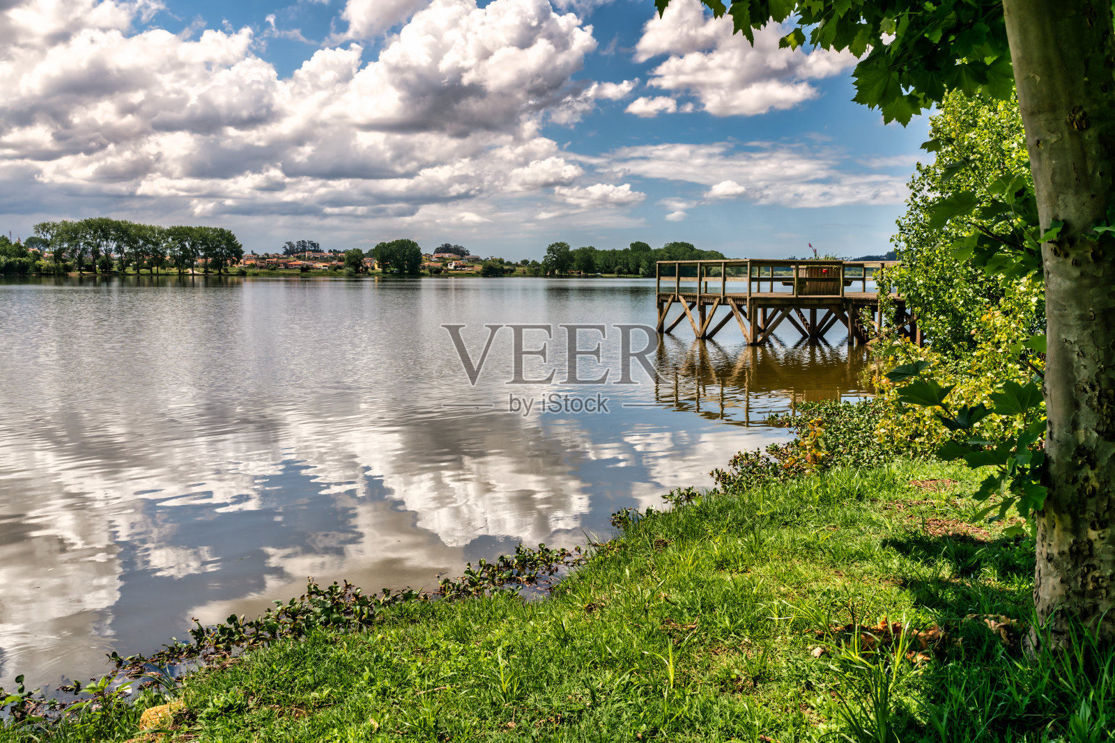 葡萄牙阿威罗Pateira de Fermentelos天然泻湖上的木制人行道。照片摄影图片
