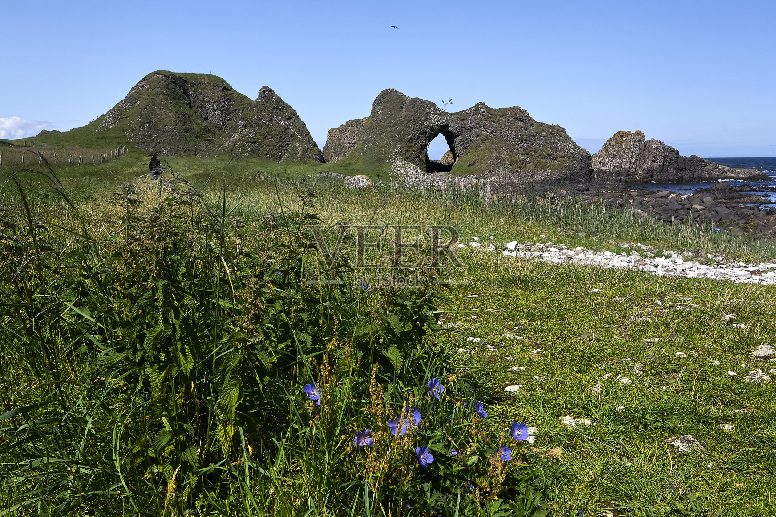 北爱尔兰夏季大西洋海岸的景色照片摄影图片