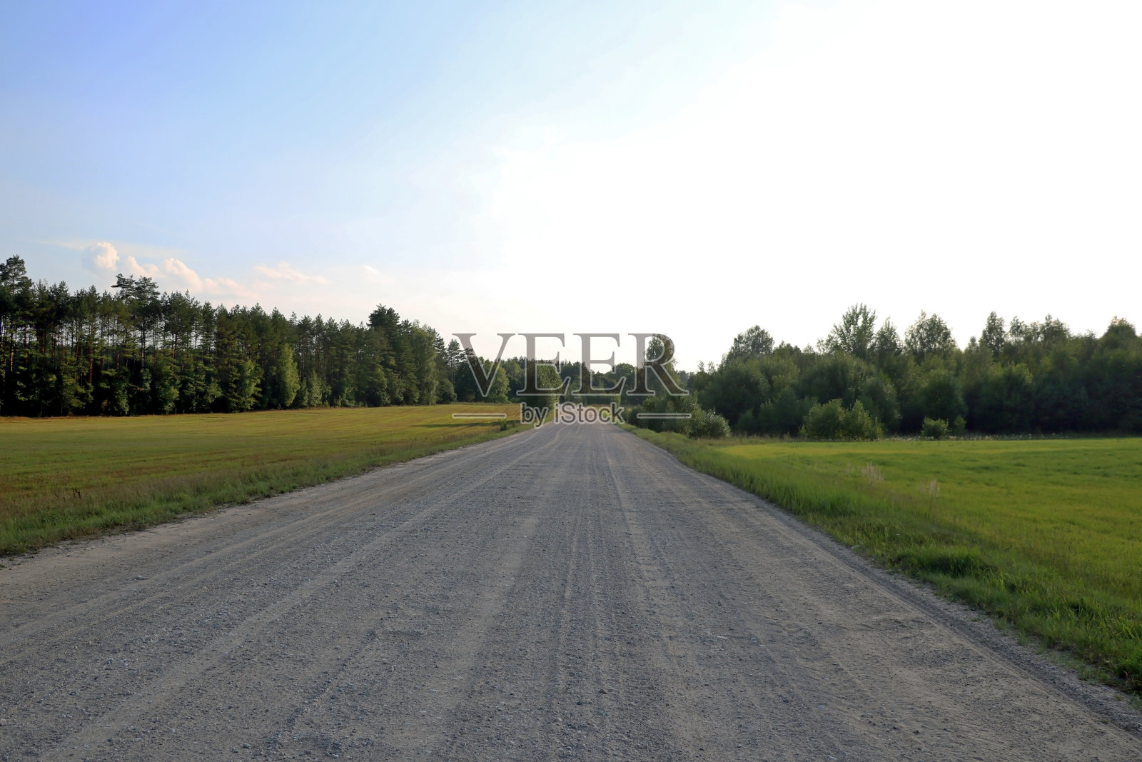 乡下的土路。沿路生长着农村作物。有选择性的重点。照片摄影图片