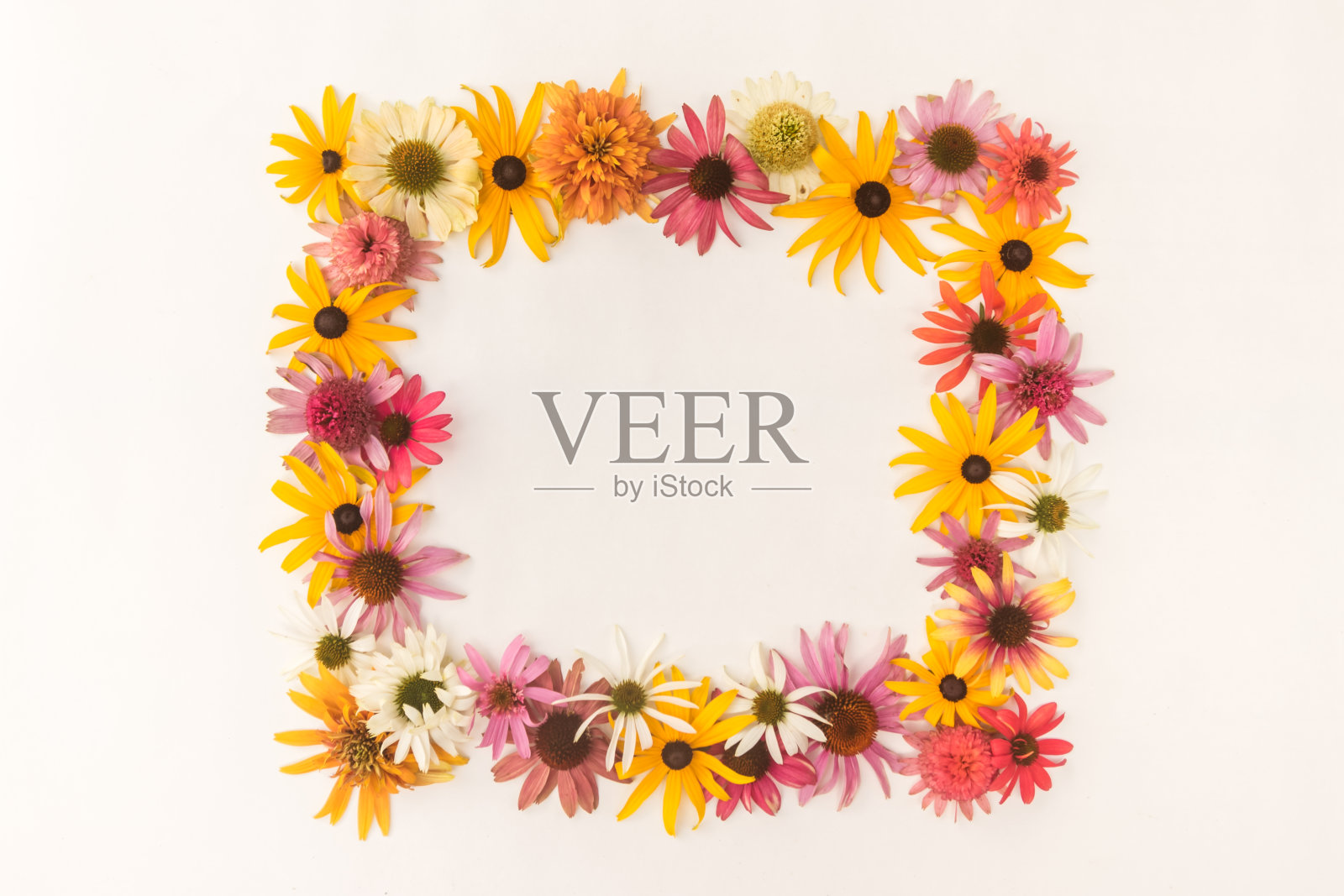 花架，生日，婚礼贺卡背景照片摄影图片