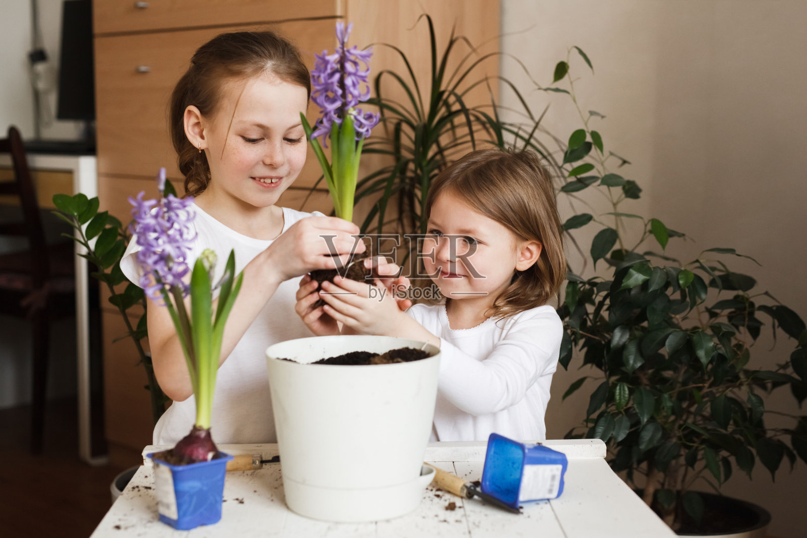 兄弟姐妹女孩在家里学习植物学、种植和园艺照片摄影图片
