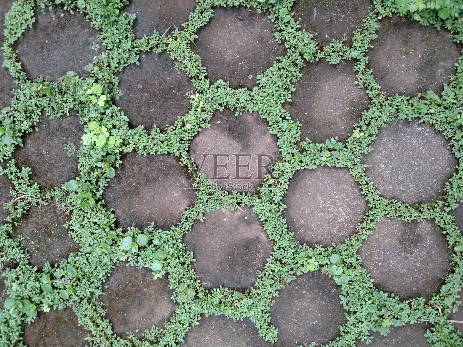 草块照片摄影图片