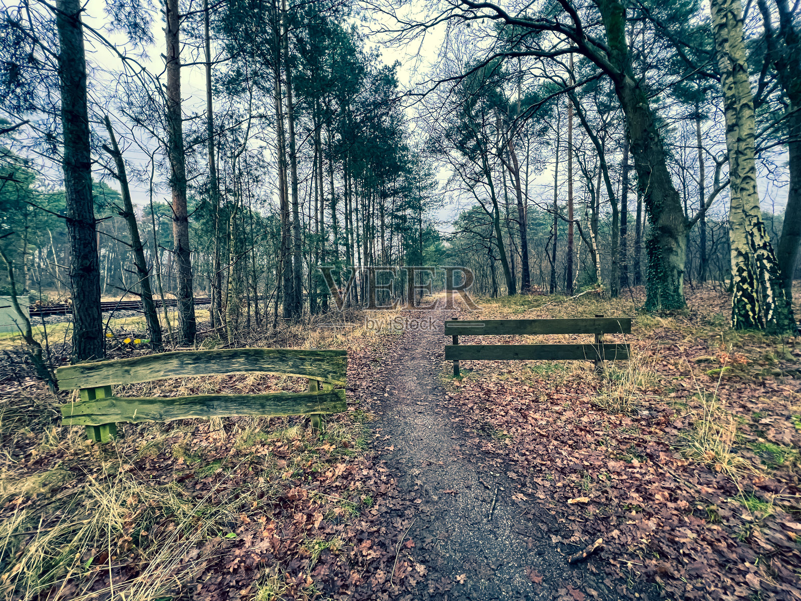 通往火车轨道旁森林小路的入口。照片摄影图片