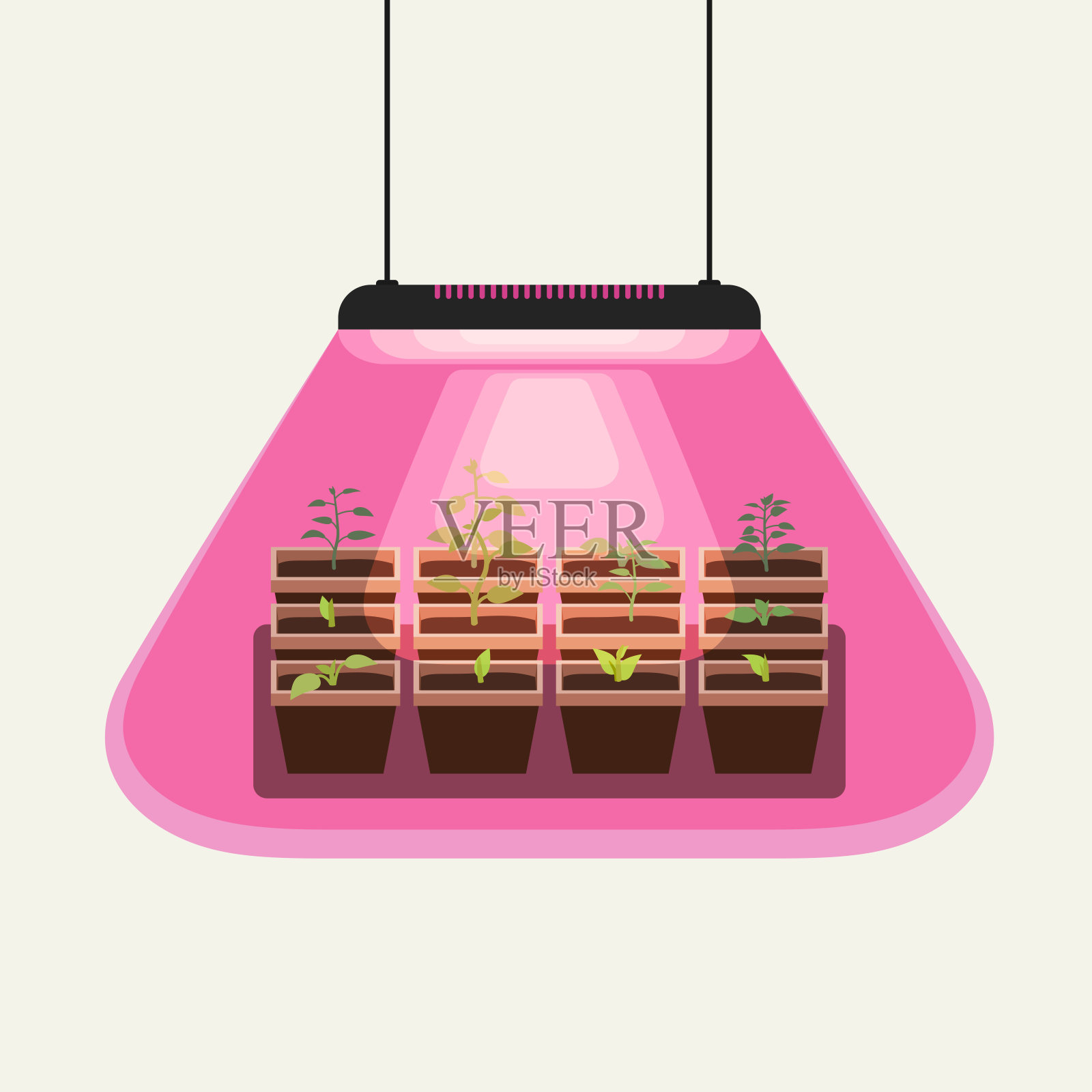 在灯下为花园种植幼苗。插画图片素材