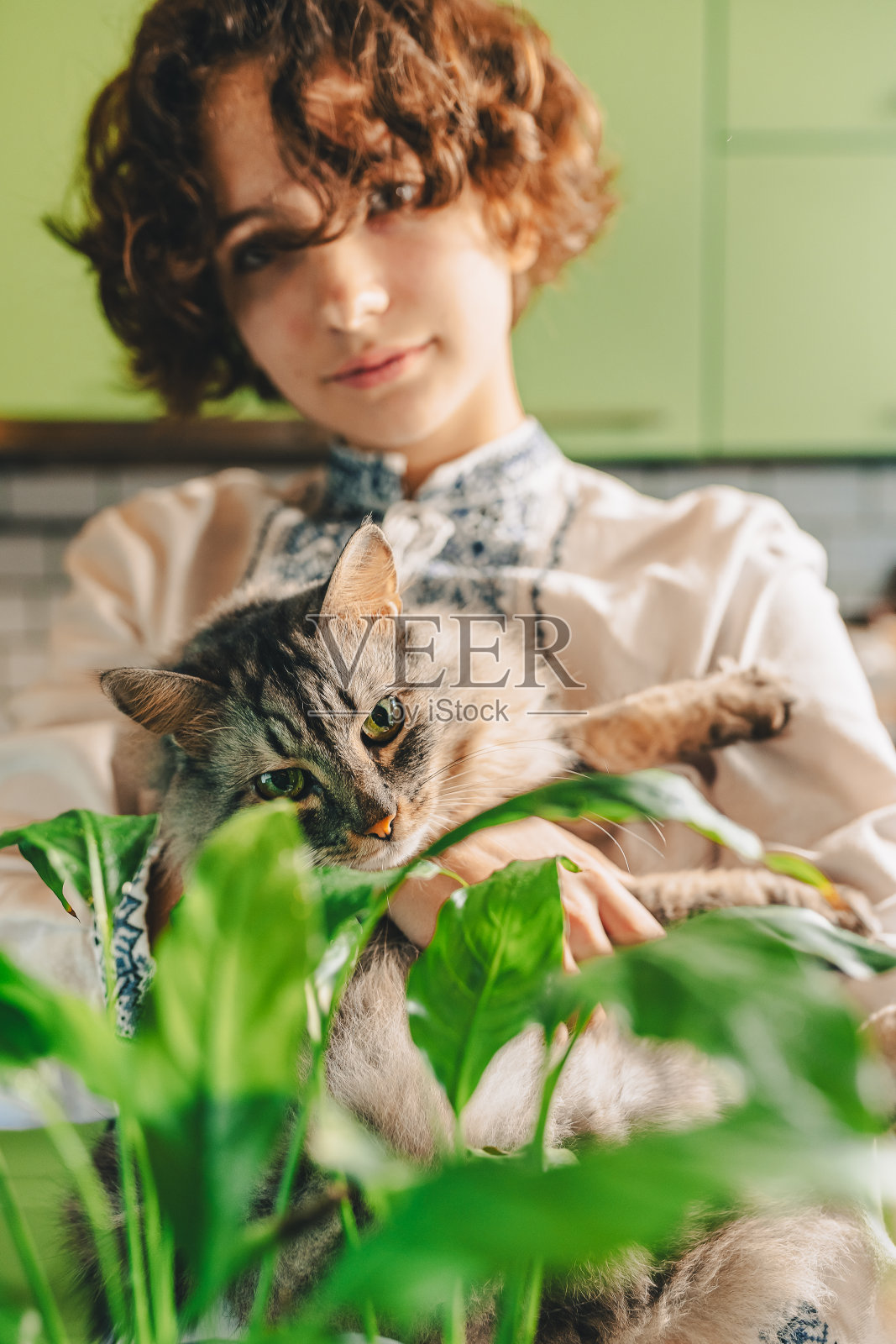 家猫对室内植物表现出好奇和兴趣照片摄影图片