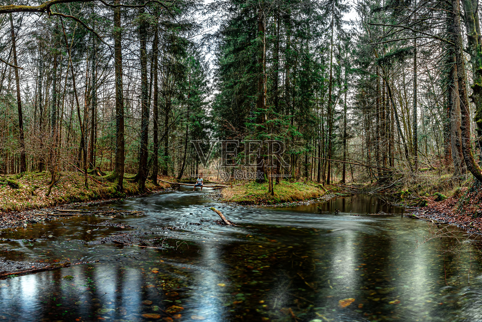 森林里的小湖照片摄影图片