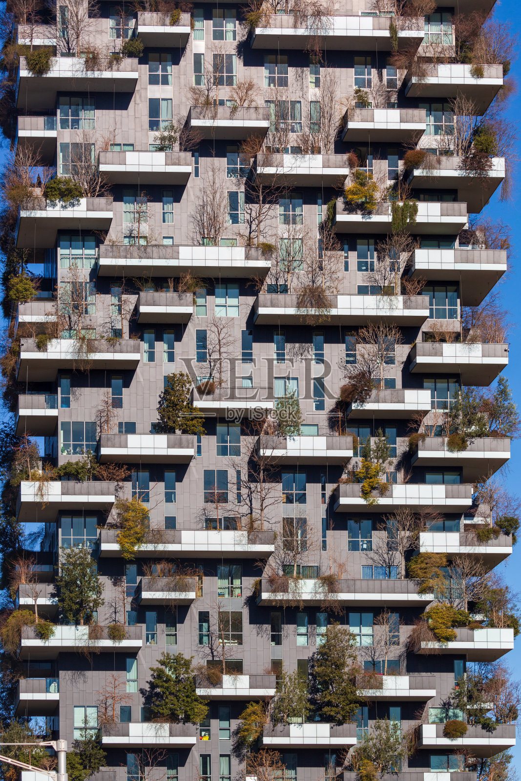 米兰，伦巴第，意大利:垂直森林住宅区照片摄影图片