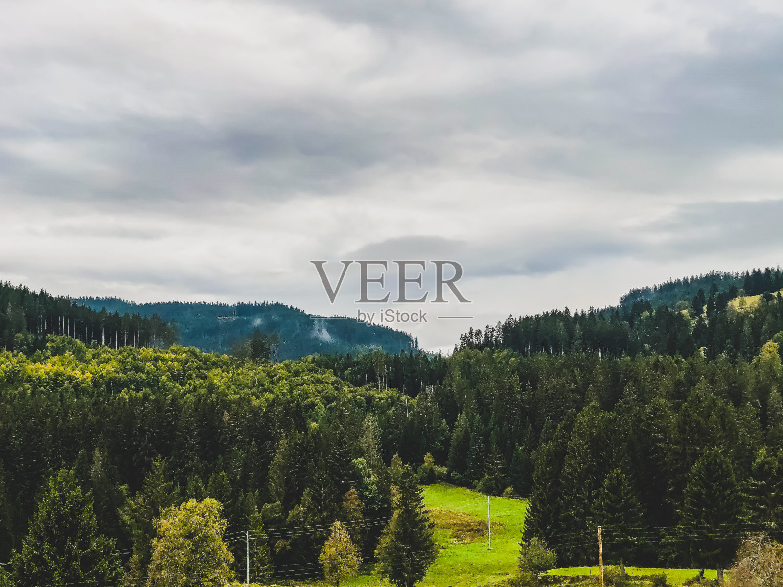 从山上俯瞰黑森林的景色。照片摄影图片