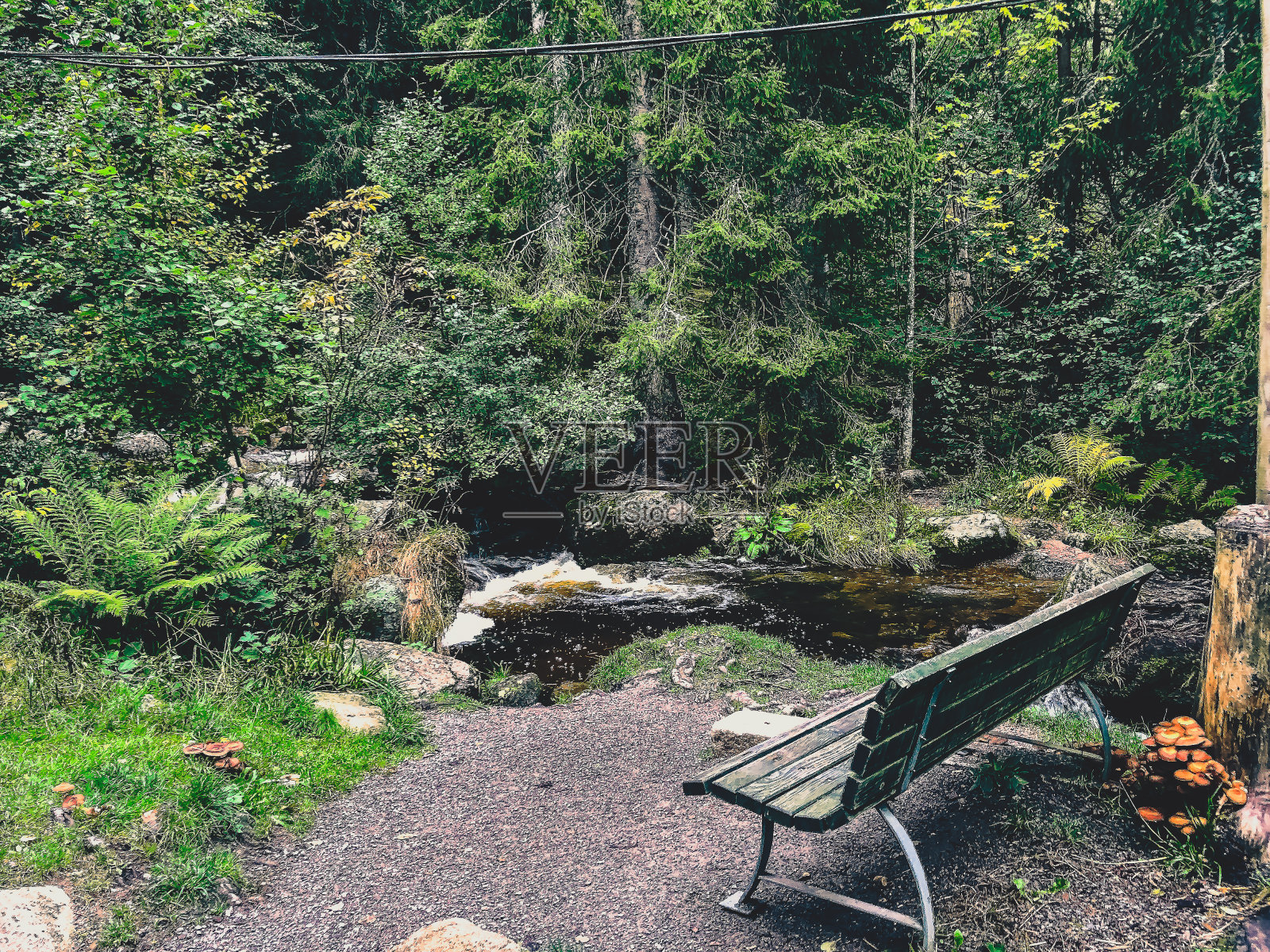 德国黑森林中的一条河和一条长凳，上面有很多石头。照片摄影图片