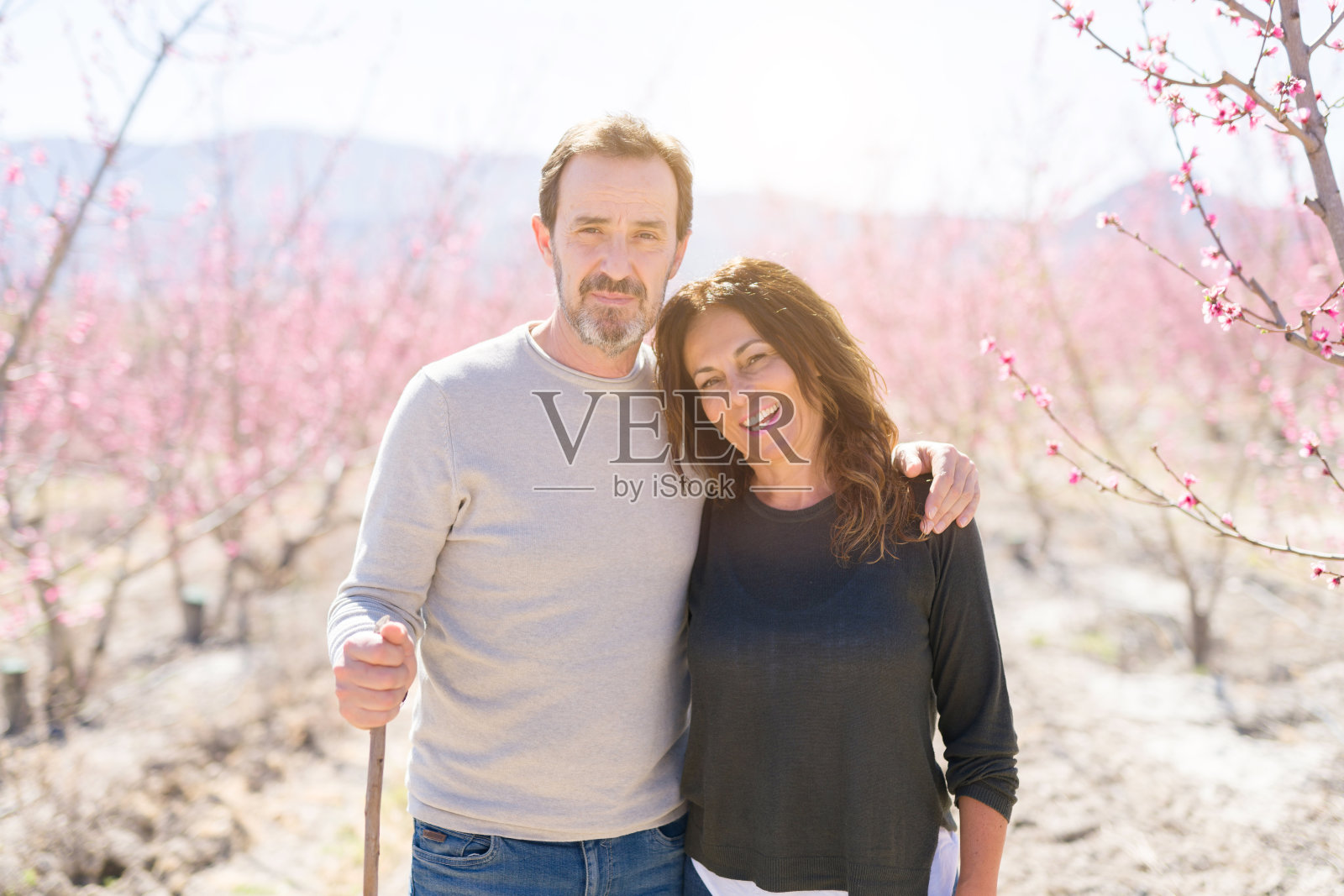 美丽的中年老年夫妇微笑在爱情浪漫的花园桃树与粉红色的花瓣在一个阳光明媚的日子的春天照片摄影图片