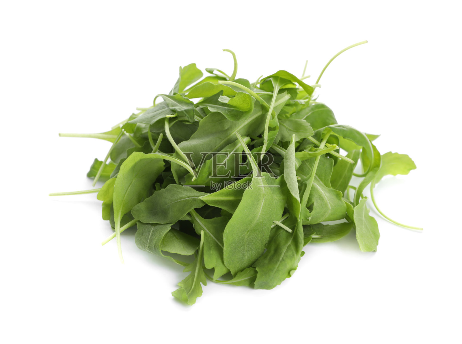新鲜的绿色芝麻菜叶在白色的背景照片摄影图片