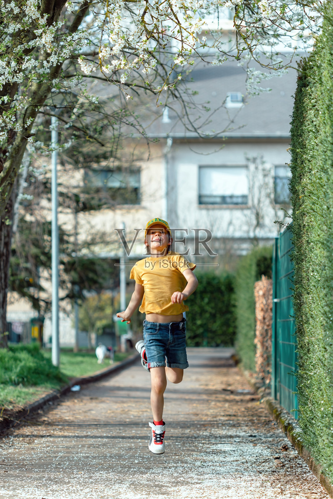 沿着小路蹦蹦跳跳的男孩照片摄影图片