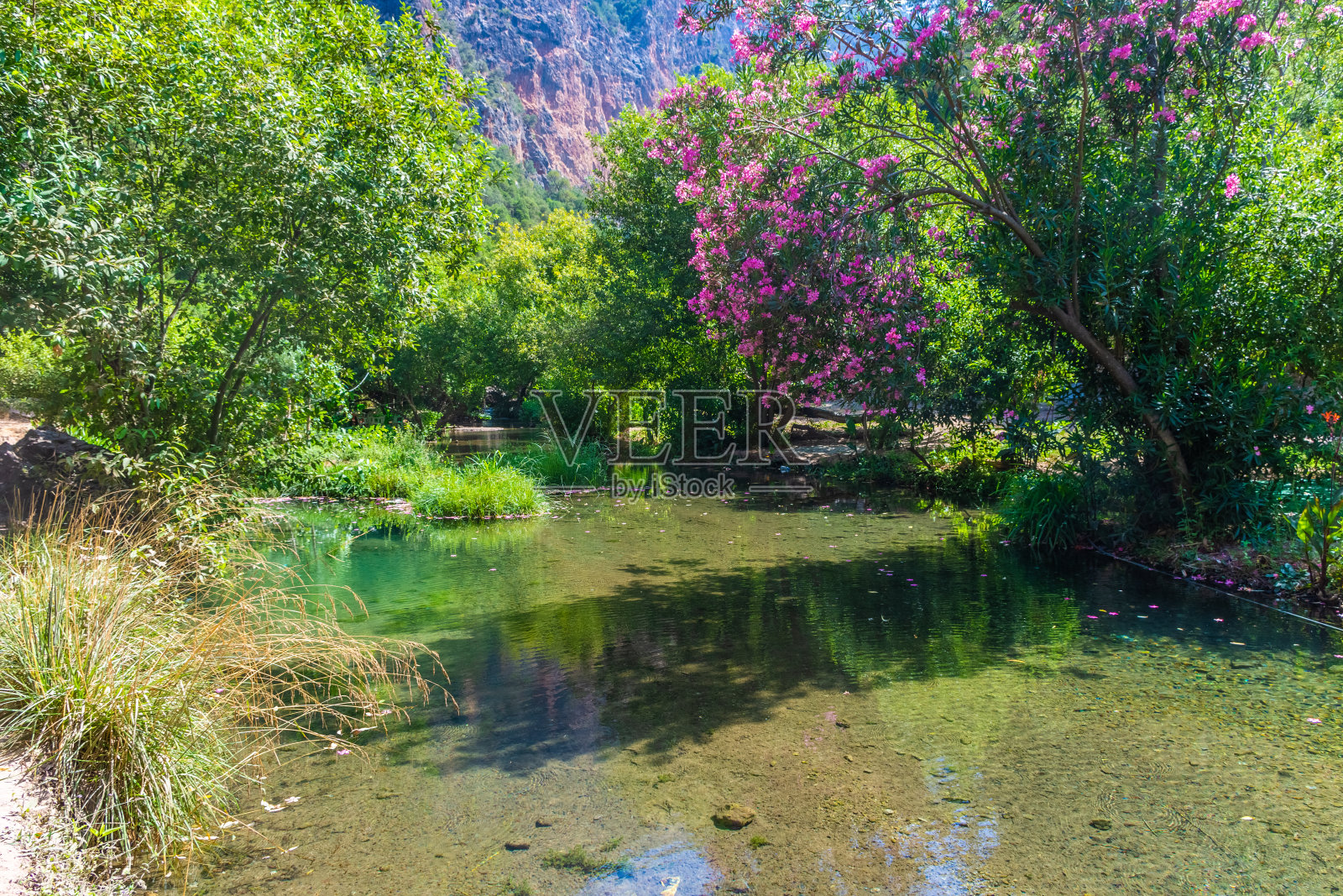 摩洛哥的Akchour瀑布公园照片摄影图片