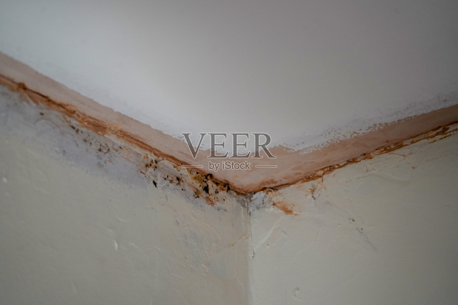 房屋装饰标志的特写照片摄影图片