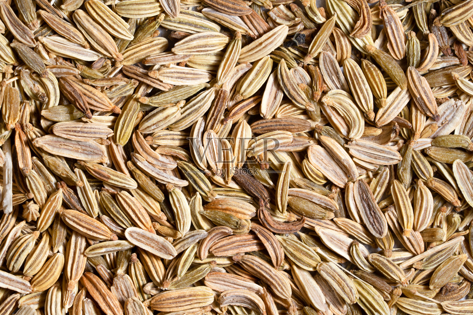 一套干燥的茴香籽，用于冲泡和烹饪。照片摄影图片