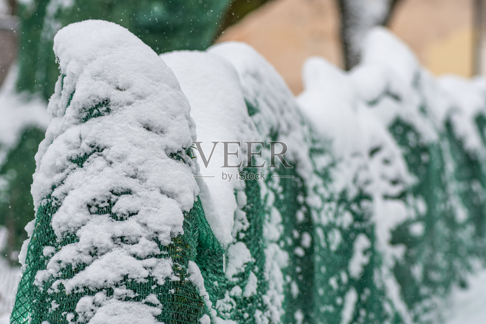 公园或花园中覆盖着绿色防冻毯的植物、灌木和树木照片摄影图片
