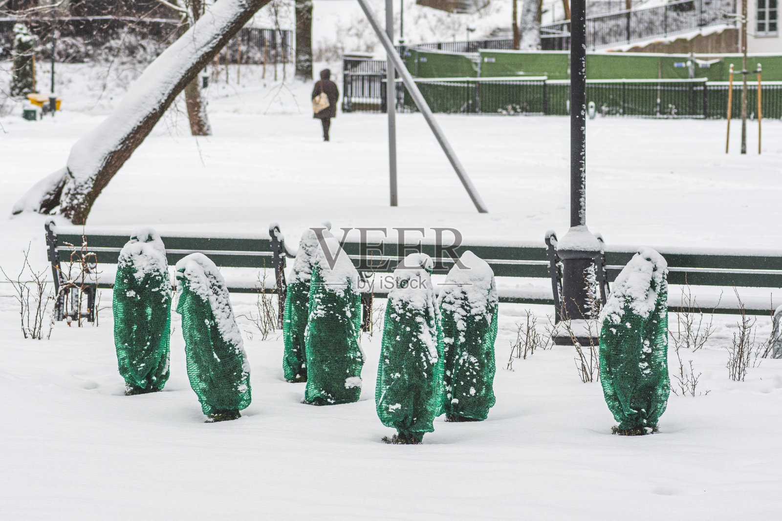 公园或花园中覆盖着绿色防冻毯的植物、灌木和树木照片摄影图片